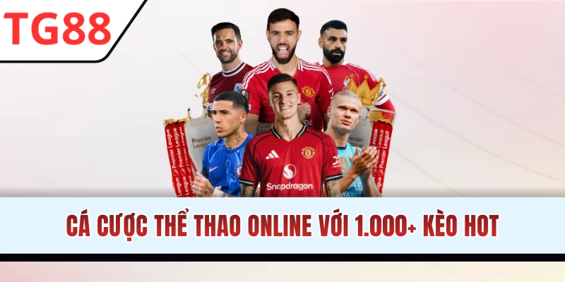 Sảnh thể thao chất lượng quốc tế tại TG88